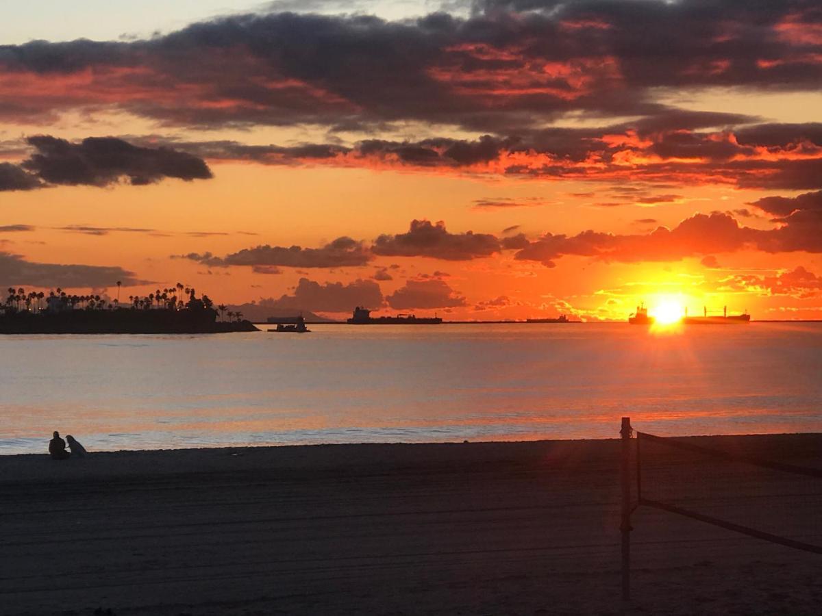 Appartement New Belmont Shore Retreat With Free Parking Walk To Beaches *